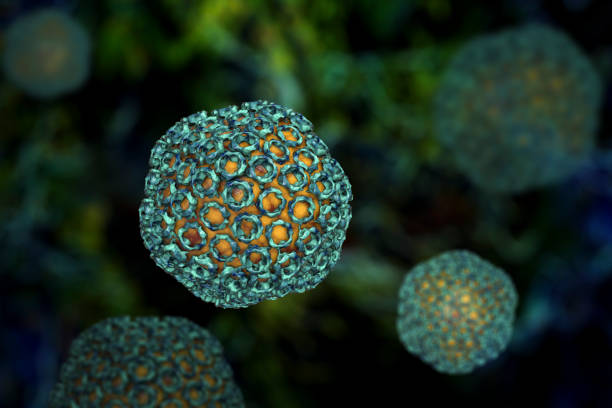 Evolusi Virus Dari Zoonosis Hingga Penyakit Manusia
