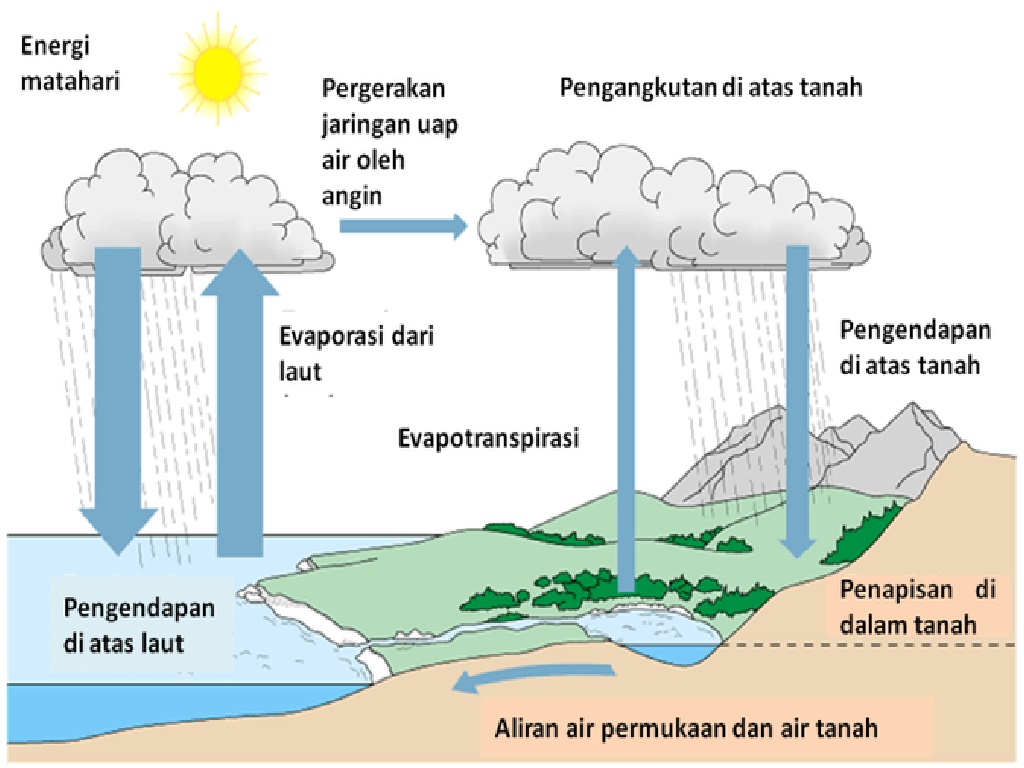 Peran Penting Siklus Air dalam Ekosistem Bumi