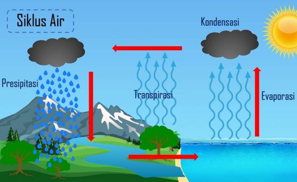 Siklus Hidrologi Perjalanan Air dari Langit ke Bumi